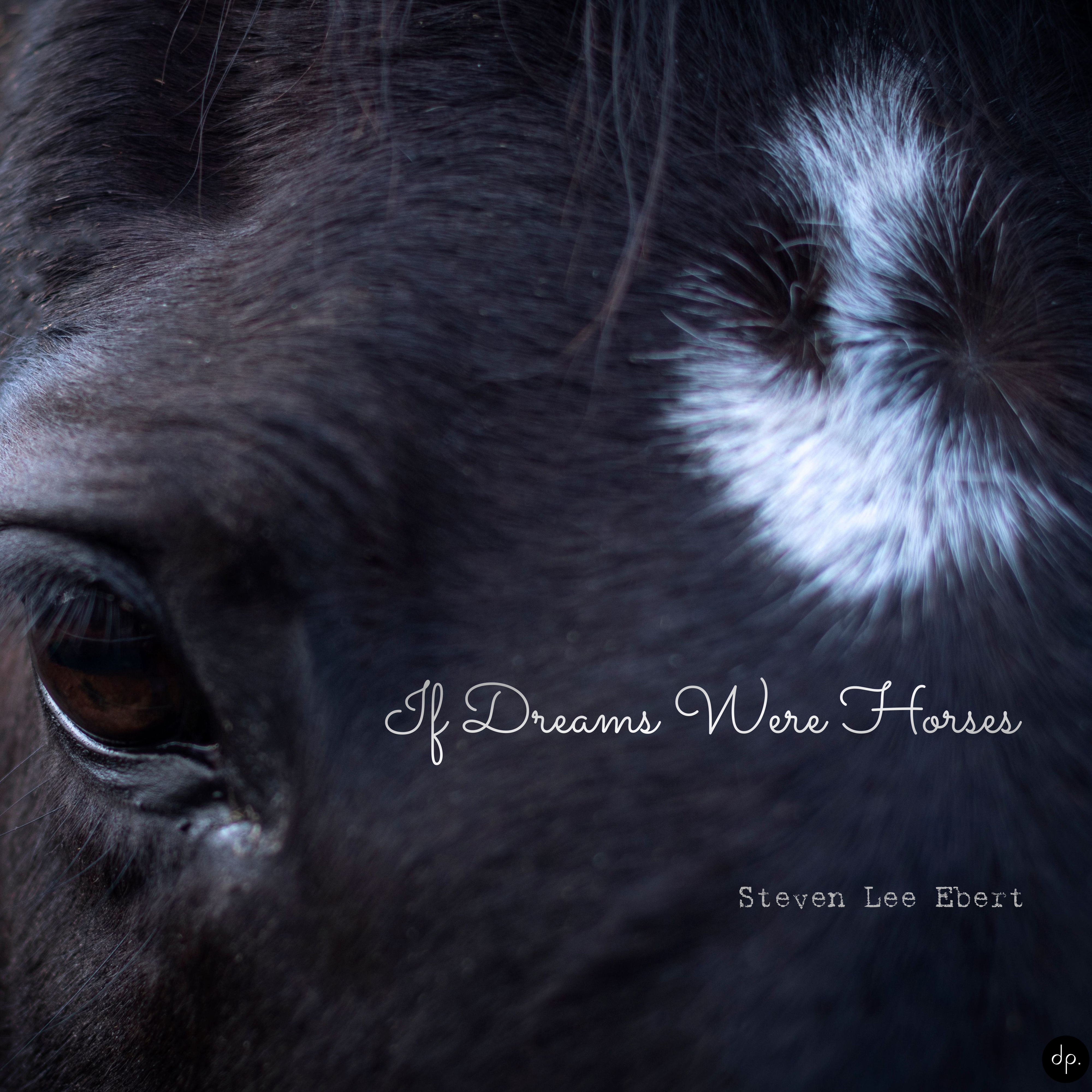 Steven Lee Ebert - If Dreams Were Horses