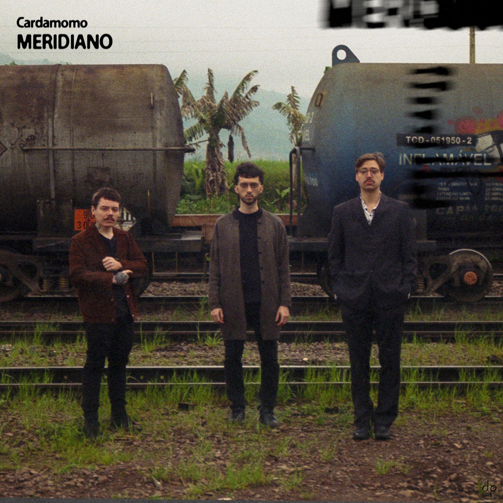 Cardamomo - Meridiano