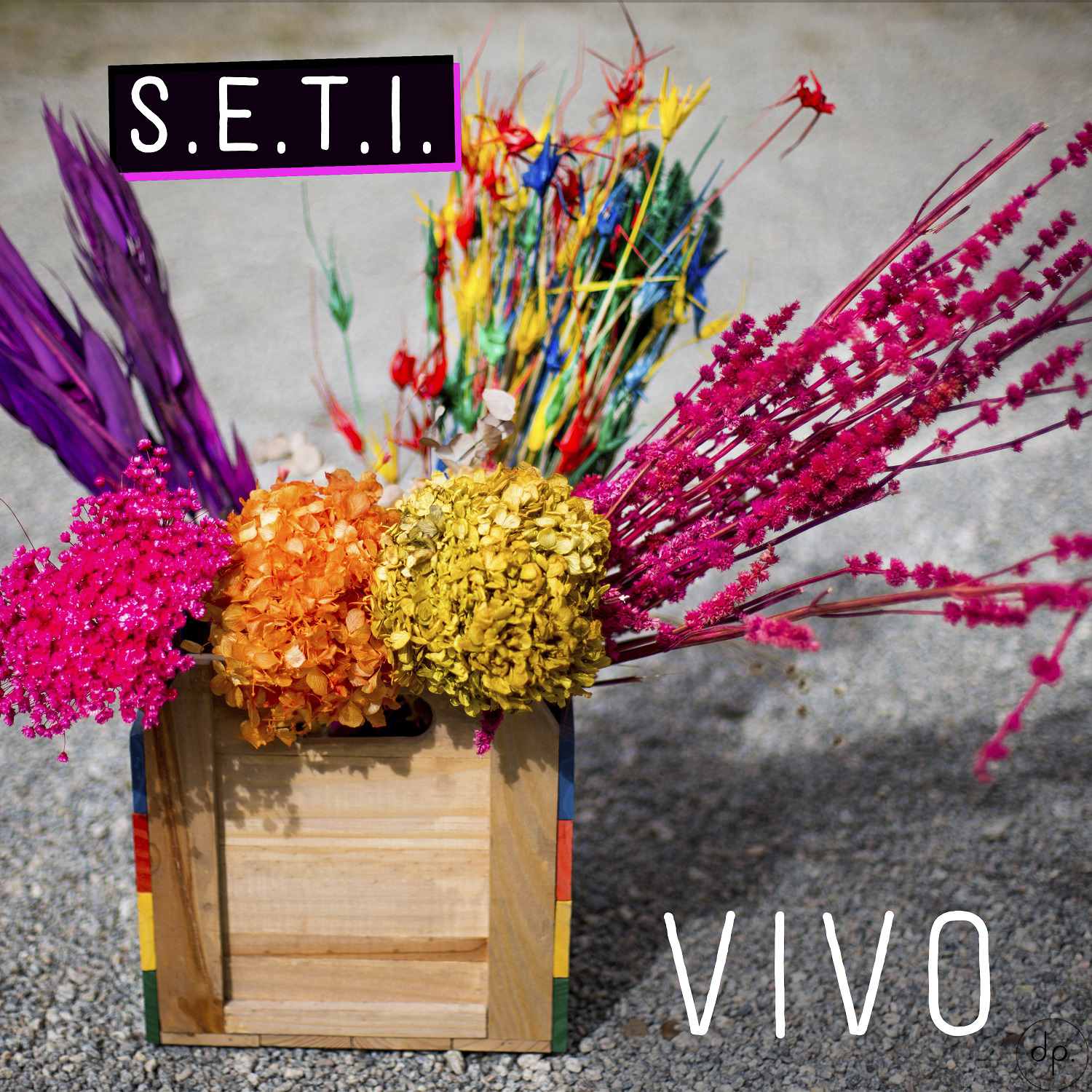 S.E.T.I. - Vivo